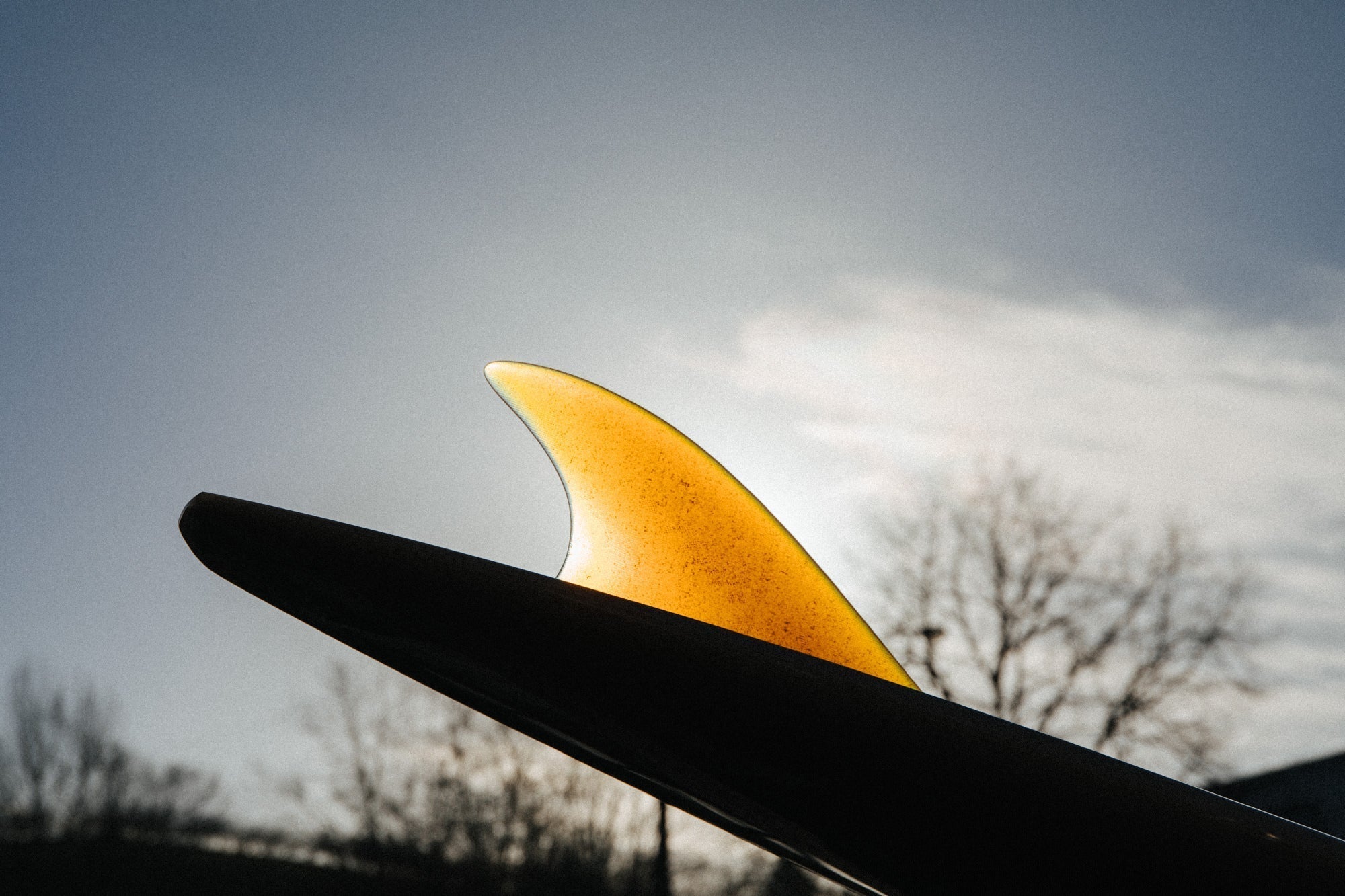 SURFBOARD FIN GUIDE 🌊 All there is to know about fins and a bit more