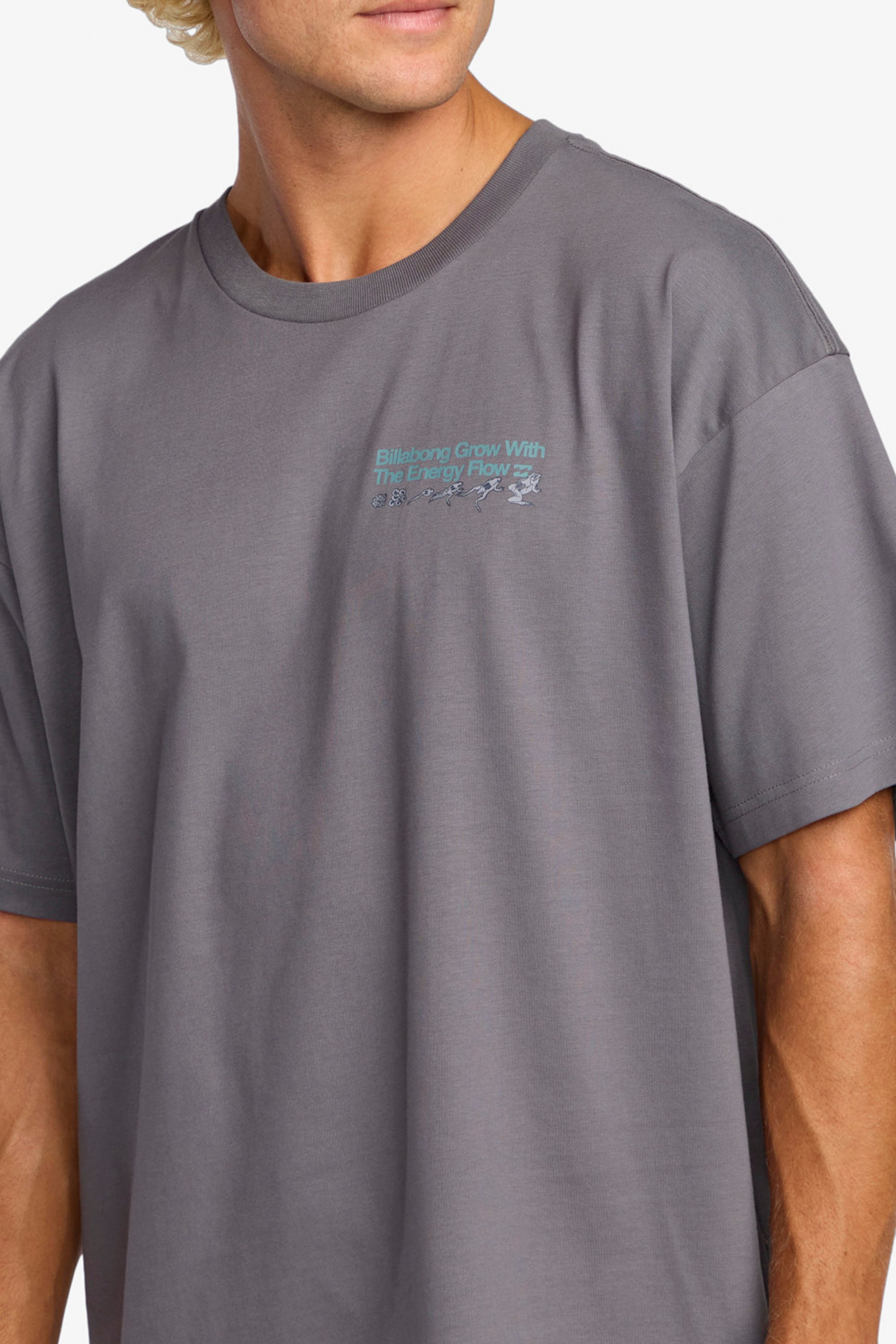 Happylifeshops Billabong Grow OG A/Div graphic tee grey violet relaxed fit