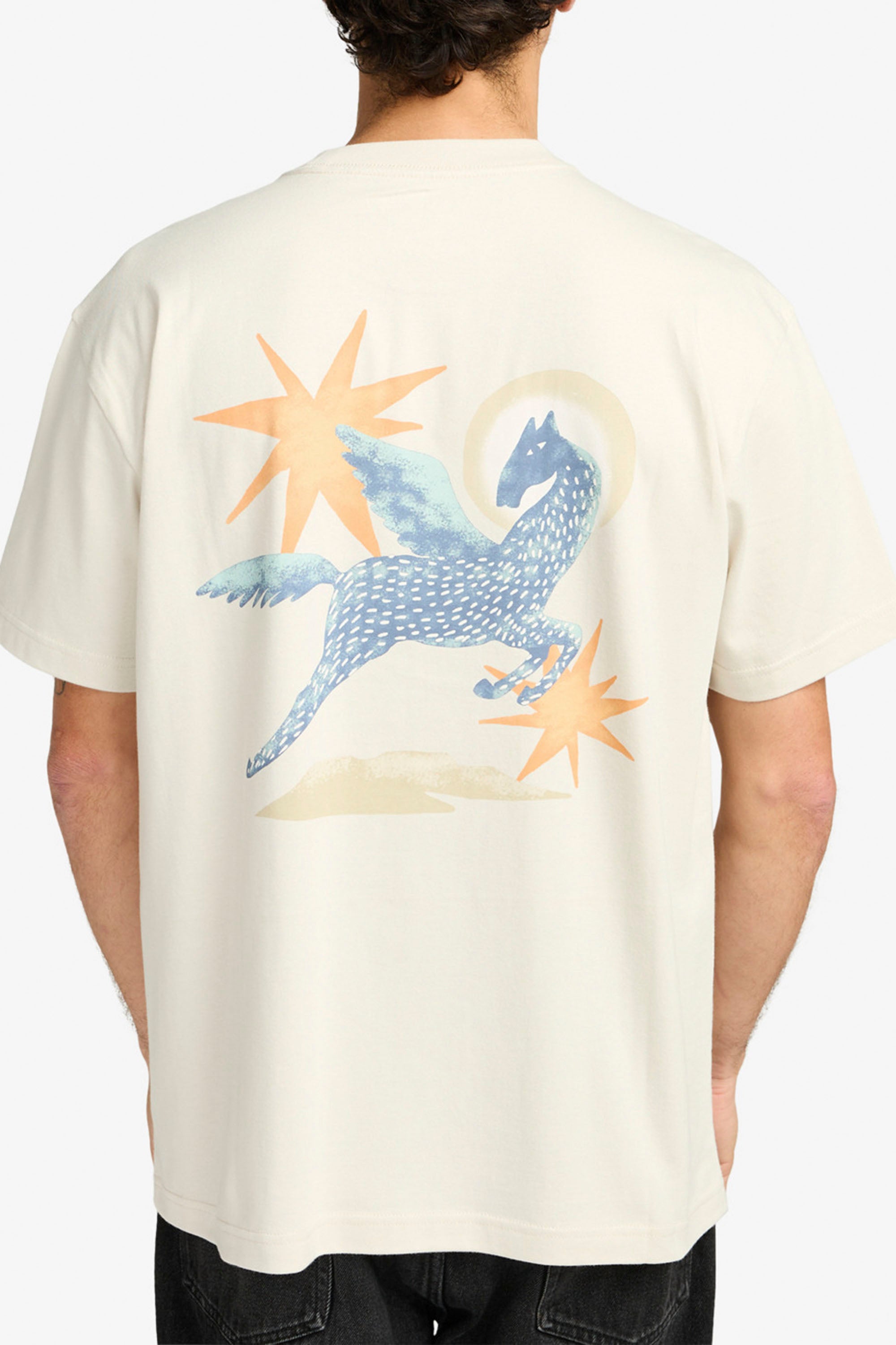 Happylifeshops RVCA men’s graphic tee in Ceramic